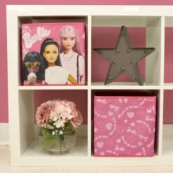 Barbie Pack Of 2 Storage Cubes