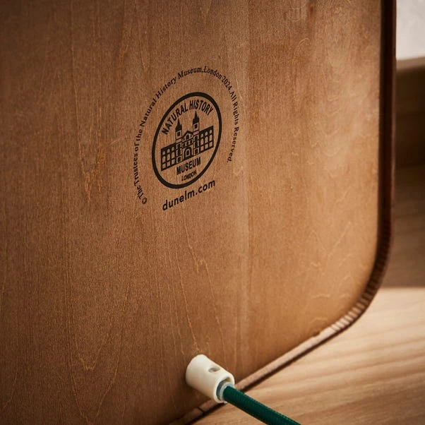 Dinosaur Layered Colour Changing Light Box 5 Dinosaur Layered Colour Changing Light Box - Image 5