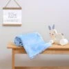 Clair De Lune Marshmallow Pram Blanket