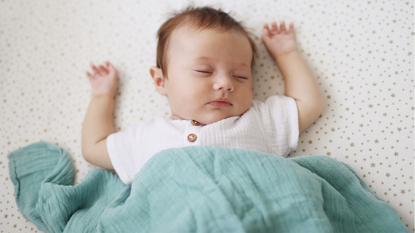 IT Luggage Kids Sales Store -IT Luggage Kids Sales Store baby bedding